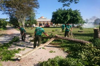 Begini cara personel BKSDA di Sampit memanfaatkan waktu senggang
