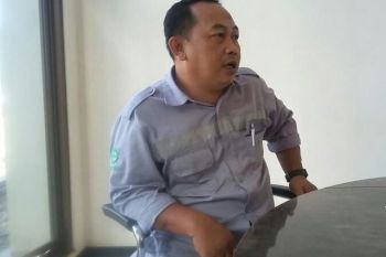 Karyawan PT.IMIP dapat dispensasi untuk mencoblos di Pilkada