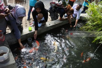 Taman Botani Sukorambi,