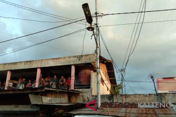 Jaringan listrik semrawut, PLN diminta segera perbaiki