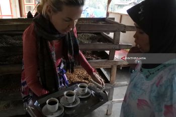Kopi Arabika Java Raung