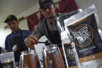 Kopi Arabica Sembalun Sajang