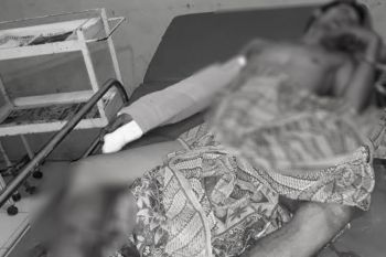Polisi tembak satu kawanan pencuri sarang burung walet