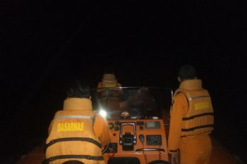 Kapal bermuatan sapi tenggelam di perairan Luwuk (Vidio)