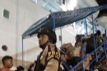 Maluku siapkan transportasi gratis mudik Idul Fitri