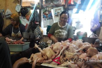 Daging ayam masih jadi pemicu inflasi
