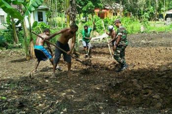 Babinsa Koramil Yapsel dampingi petani garap lahan pertanian