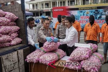 Kasus penimbunan bawang putih