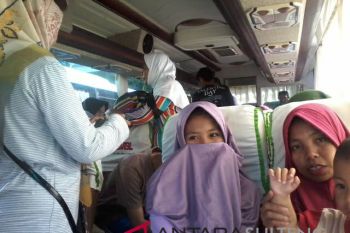 MTI: pengemudi harus dipastikan sehat