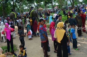 Way Kambas perlu jaringan internet gratis