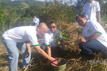 PLN tanam 1.111 pohon di lembah Furia