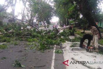 Arus lalu lintas ke kantor bupati Agam sempat terhenti
