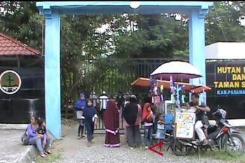Hutan Kota Pasaman Barat masih ramai dikunjungi wisatawan