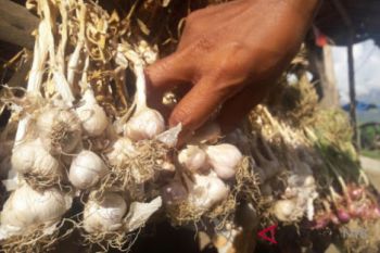 DPD RI ingatkan Polda NTB usut kasus bawang Sembalun