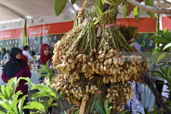 Bupati Magetan Ajak Petani Dukung Kedaulatan Pangan (Video)