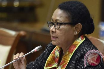 Menteri Yembise ajak suami lindungi istri