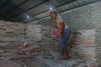Serapan beras Bulog Sampit masih rendah karena faktor ini