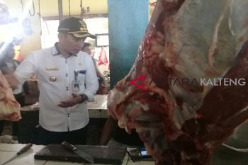 Harga daging di Sampit berangsur turun