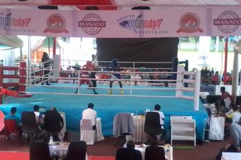 Nesthy kalahkan petinju Pelatnas di Piala Kapolri