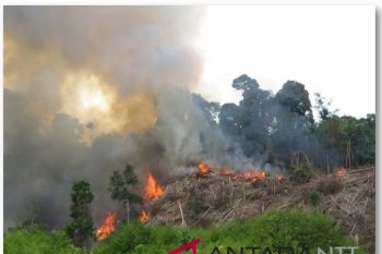 Drought hits 11 districts in East Nusa Tenggara