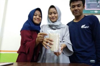UNS teliti beras analog berbahan bonggol pisang untuk pasien DM