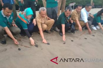 PLN WSB bantu play group dan gedung LTC di Pessel