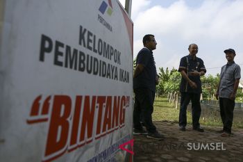 Program Eco Green Fish Farming Pertamina RU III