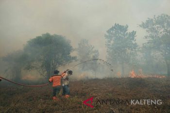 Kebakaran lahan di Sampit menjalar dekat permukiman