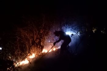 Taman Nasional Tambora terbakar