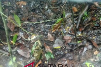 SAR temukan bekas kaki bocah hilang di Sembakung