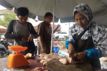 Harga daging ayam potong melejit
