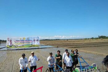 Wabup-Ketua DPRD Konawe Selatan tanam padi di Roraya