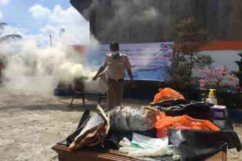 Agar tak disita ikan dari luar negeri harus berizin