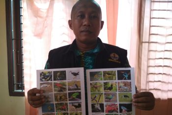 BKSDA Agam Sosialisasi Tumbuhan dan Satwa Dilindungi