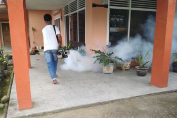 Dinkes lakukan pengasapan setelah tiga warga Agam terjangkit DBD