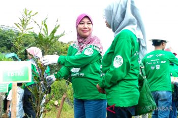 Potensi panas bumi Sumbar besar, masyarakat diminta dukung investasi geothermal