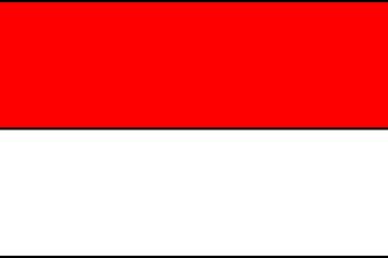 Petarung putri Indonesia Priscilia taklukan atlet Filipina dalam tarung bebas