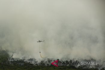 BMKG: Titik panas meningkat akibat kemarau