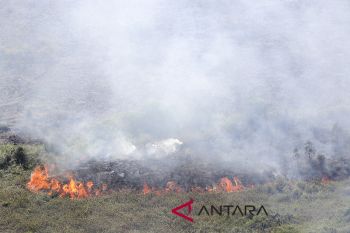 Panglima TNI minta satgas karhutla "all out"