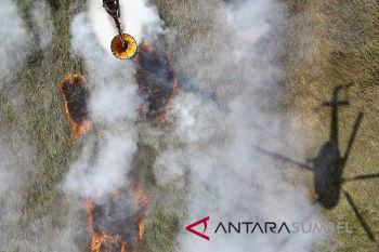 Tokoh lingkungan apresiasi penanganan karhutla sumsel
