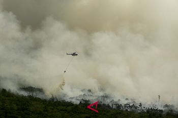 Pemadaman Kebakaran Lahan Muara Medak