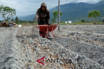 Pemanfaatan pupuk kandang