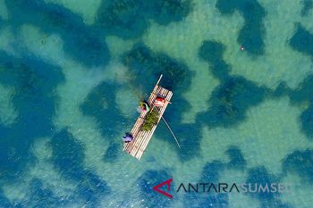Pembersihan Danau Arena Dayung