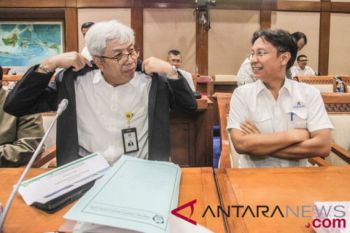 RDP pengambilan saham PT Freeport Indonesia