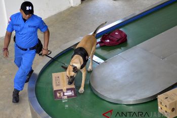 Simulasi anjing pelacak K-9 BNN
