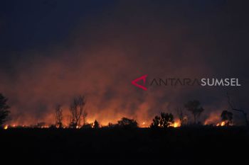 Jalur pendakian gunung lawu ditutup karena kebakaran lahan