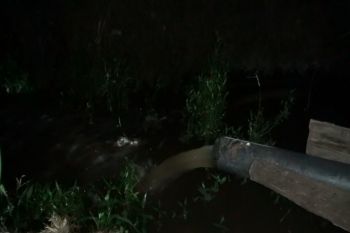 Petani aliri kebun langsat guna pertahankan kualitas buah