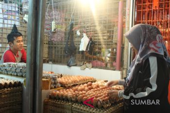 HARGA TELOR NAIK DI PADANG
