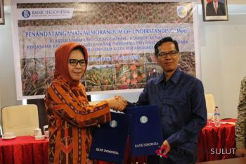 BI kembangkan produk UMKM nanas Kotamobagu