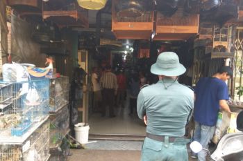 SPORC Kalbar amankan 10 burung dilindungi